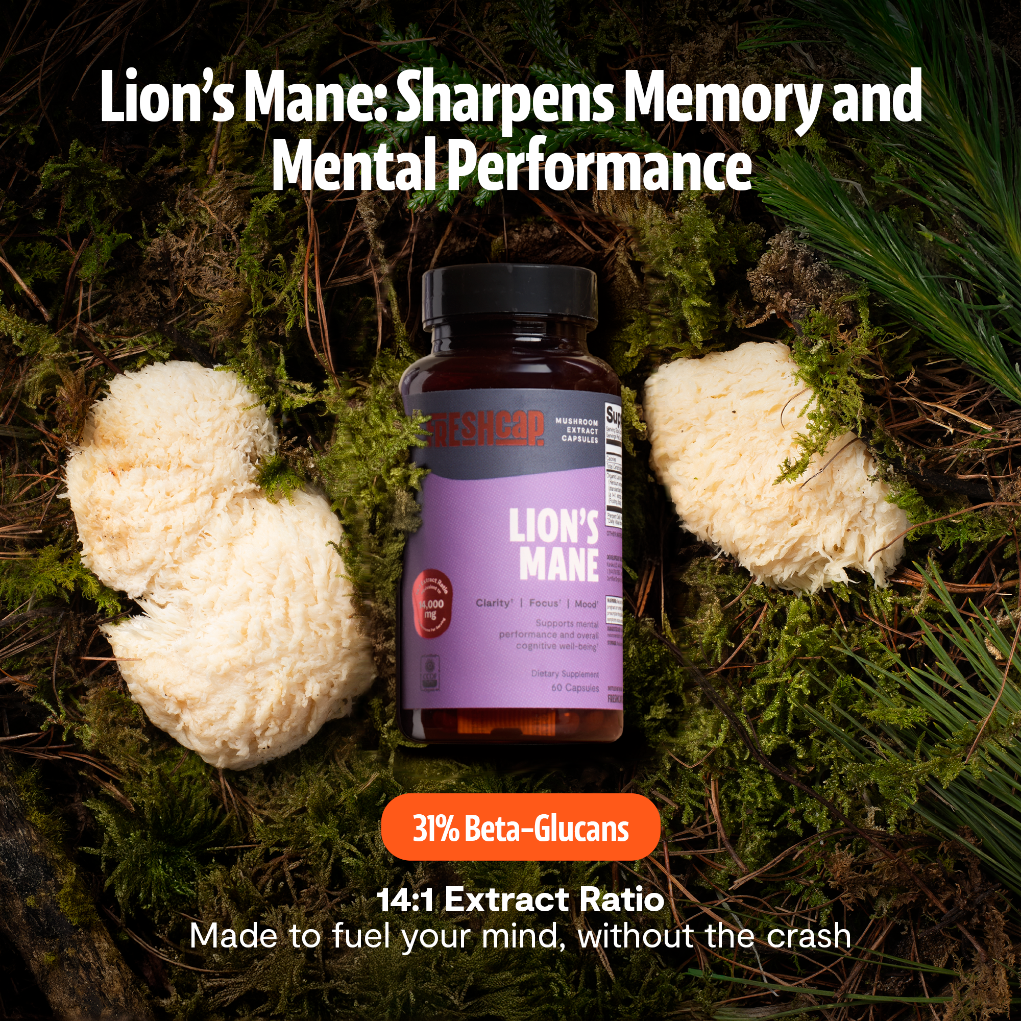 Organic Lion's Mane Capsules – 14:1 Fruiting Body Extract, 1,000 mg