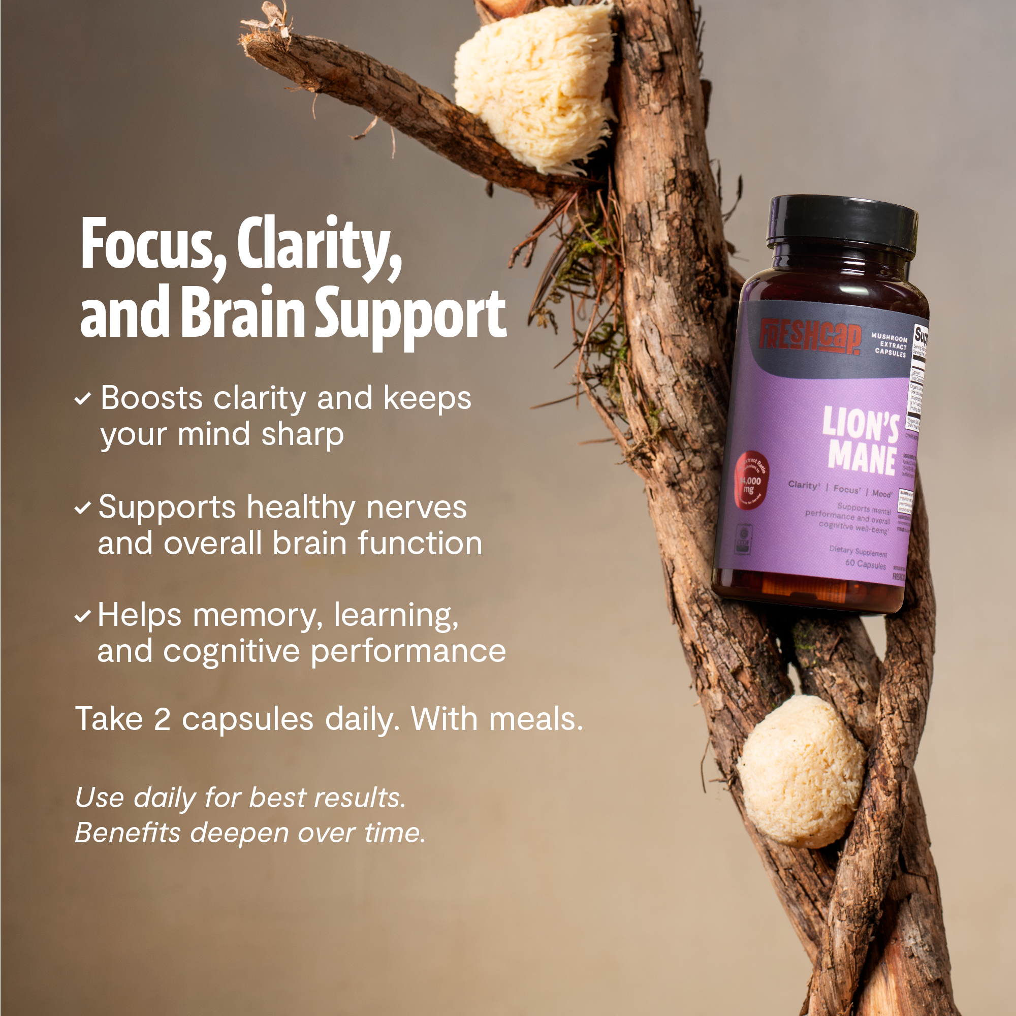 Organic Lion's Mane Capsules – 14:1 Fruiting Body Extract, 1,000 mg