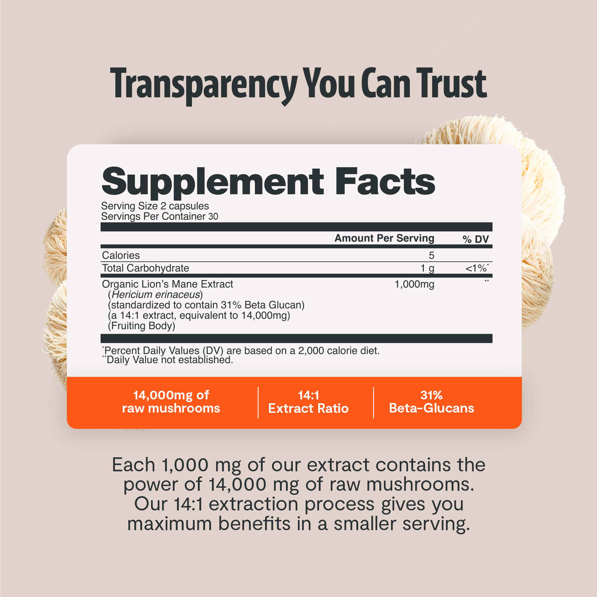 Organic Lion's Mane Capsules – 14:1 Fruiting Body Extract, 1,000 mg