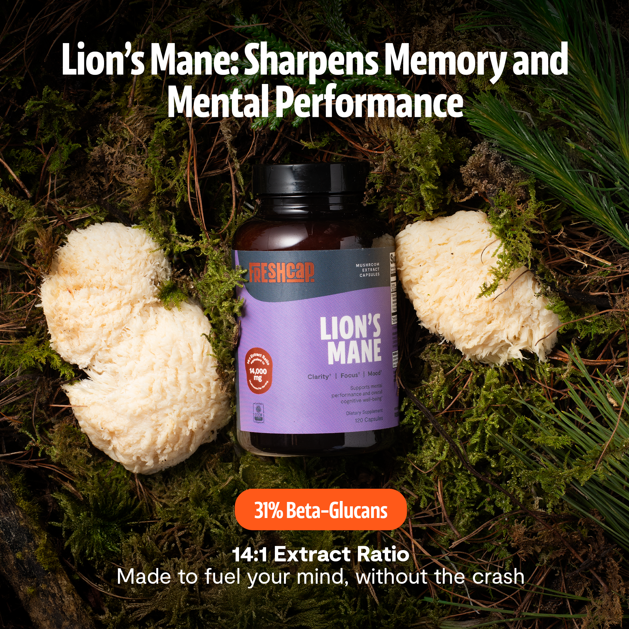 Organic Lion's Mane Capsules – 14:1 Fruiting Body Extract, 1,000 mg