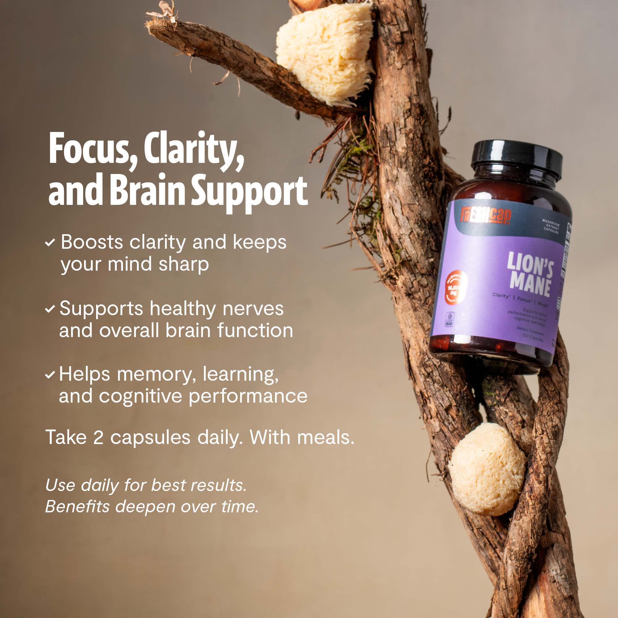 Organic Lion's Mane Capsules – 14:1 Fruiting Body Extract, 1,000 mg