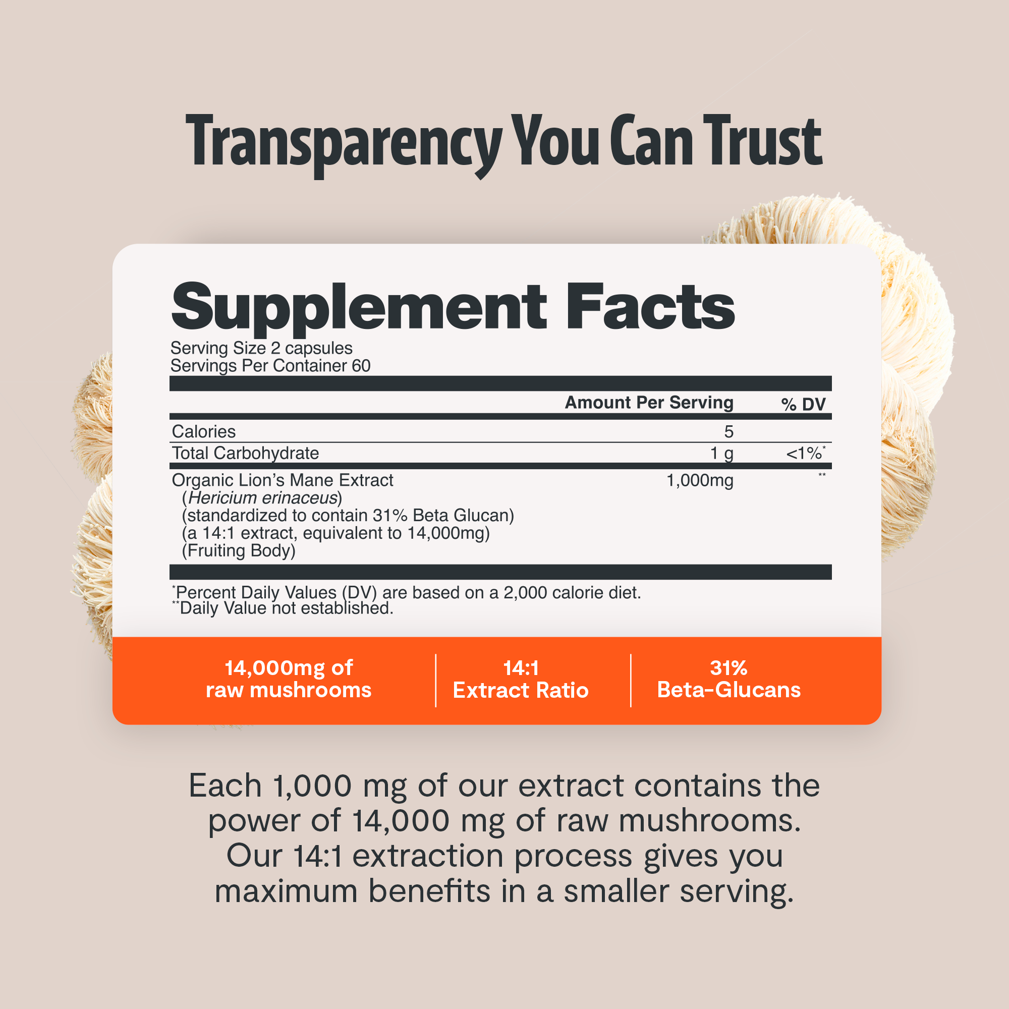 Organic Lion's Mane Capsules – 14:1 Fruiting Body Extract, 1,000 mg