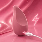  Charge the Massager